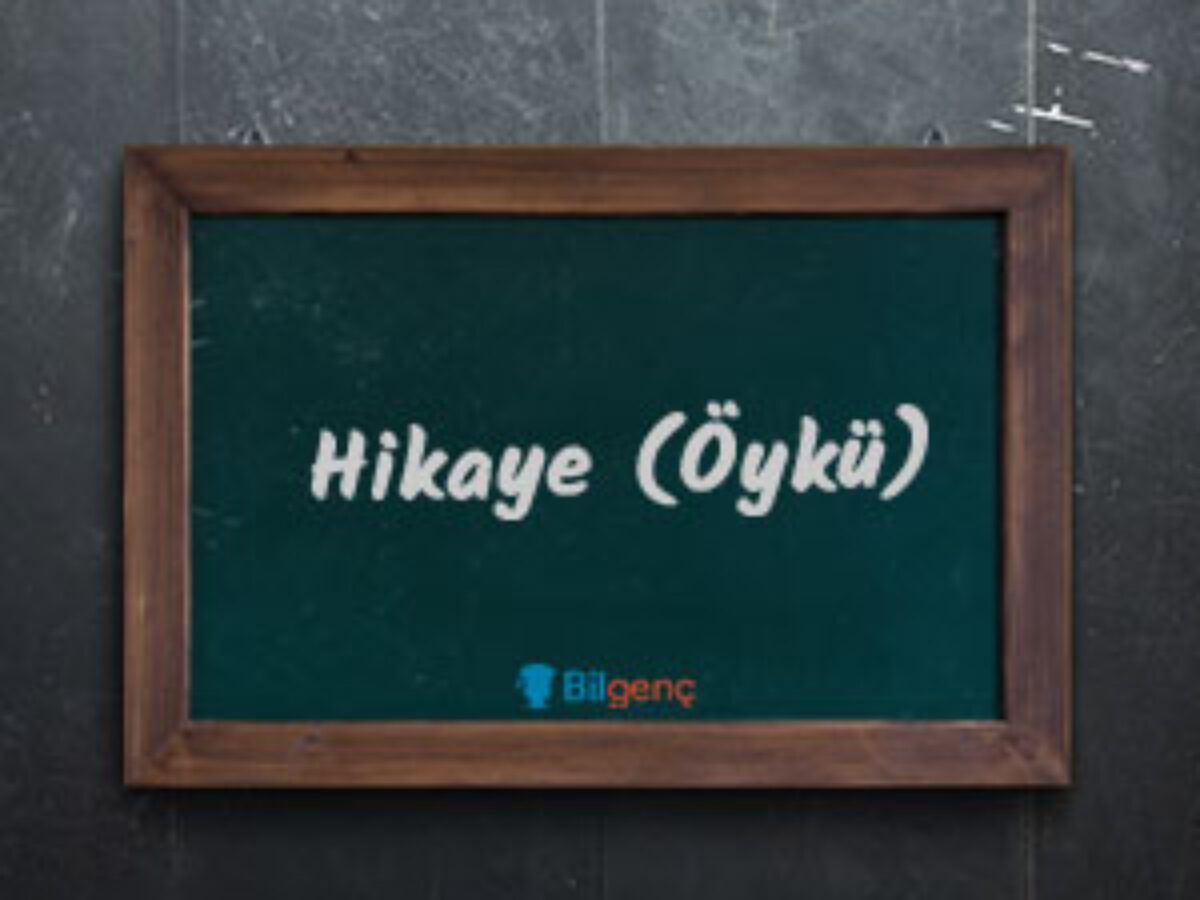 Hikayenin Tarihsel Gelisimi Turk Edebiyatinda Hikaye Bilgenc