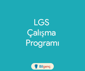 LGS Ders Çalışma Programı