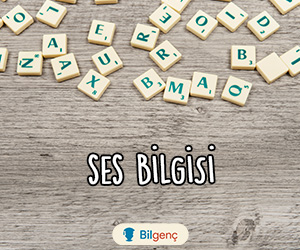 Ses Bilgisi